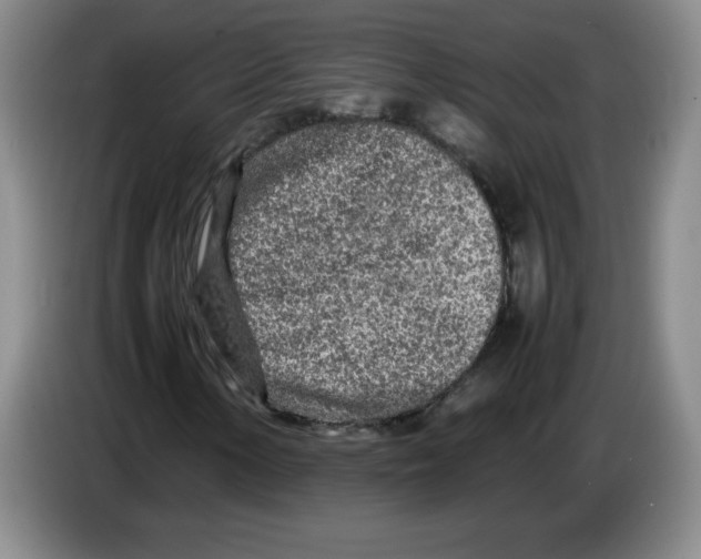 X0000083601154200703091735