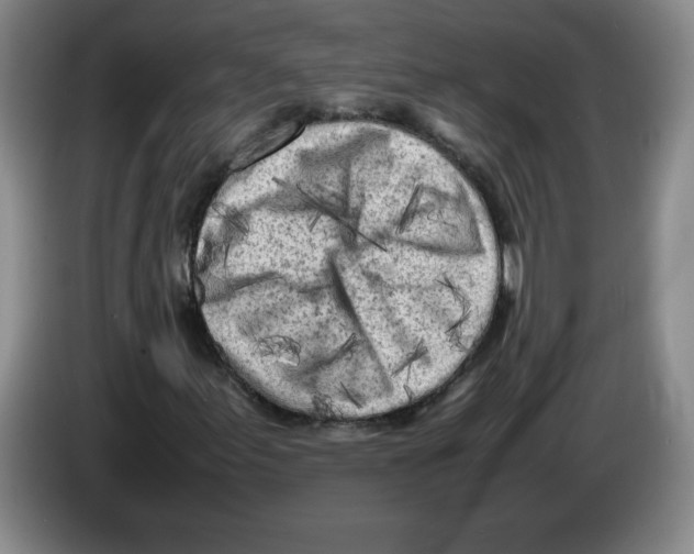 X0000083601155200703091735