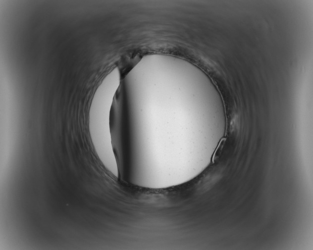 X0000083601156200703091735