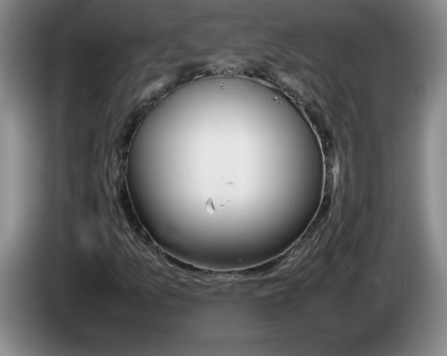 X0000083601157200703091735