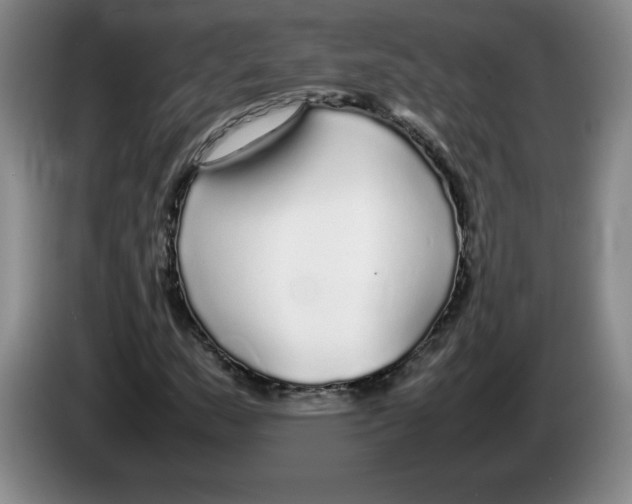 X0000083601159200703091735