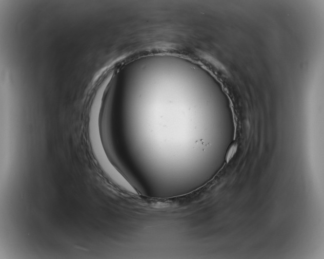 X0000083601160200703091735