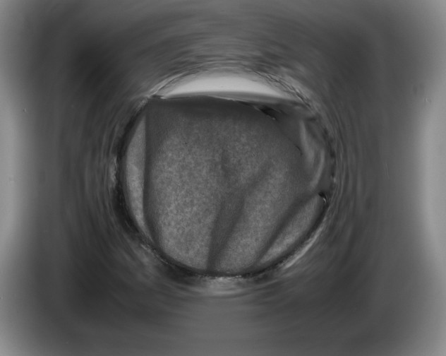 X0000083601161200703091735