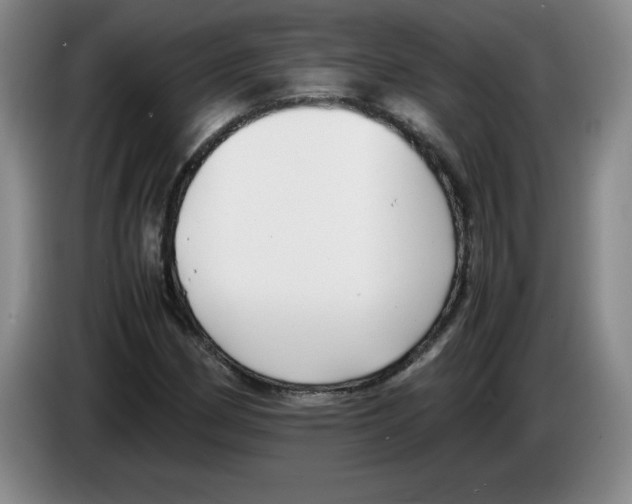 X0000083601162200703091735