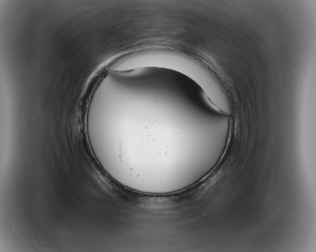 X0000083601164200703091735