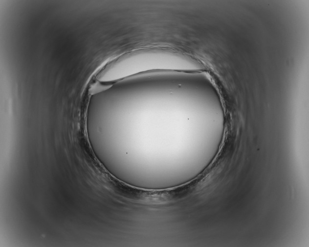 X0000083601165200703091735