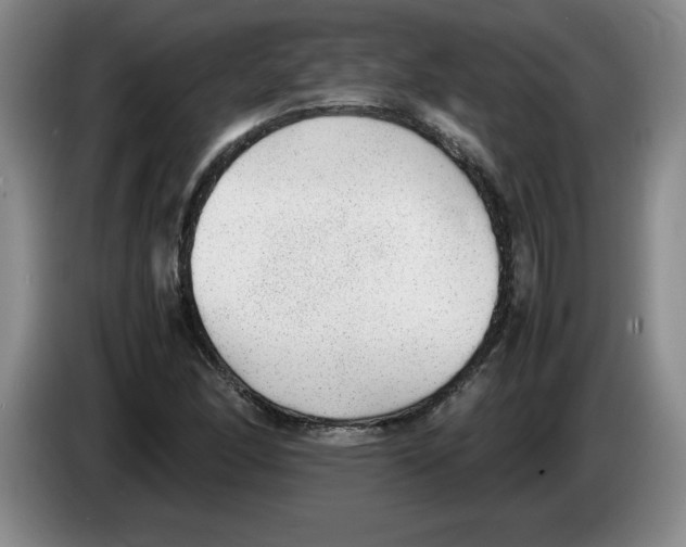 X0000083601166200703091735