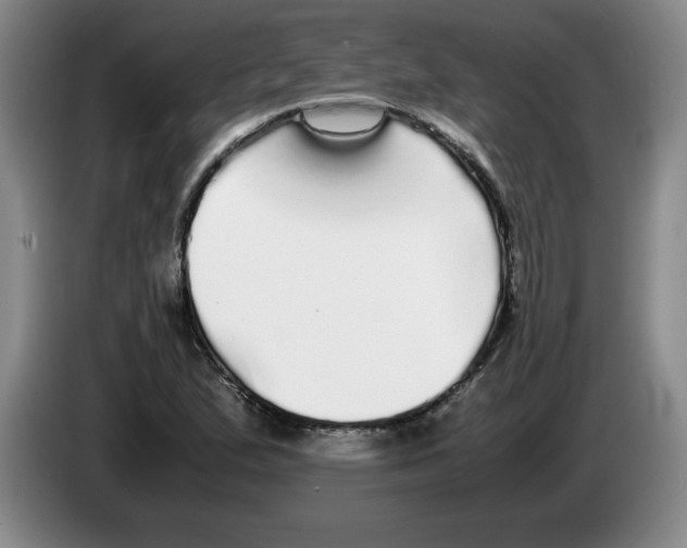 X0000083601167200703091735