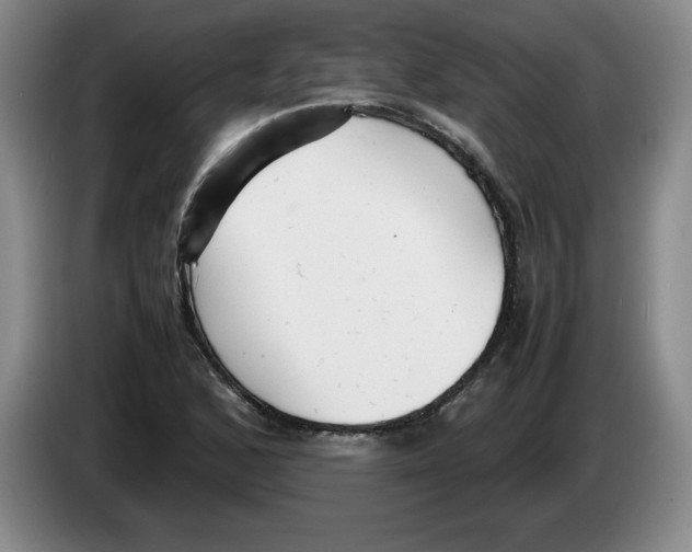 X0000083601168200703091735