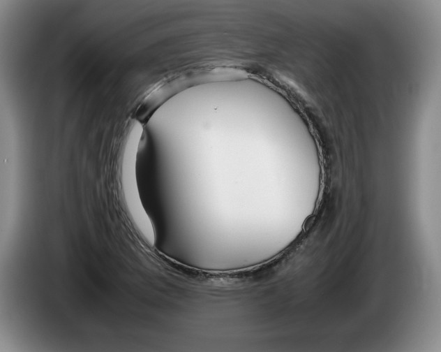 X0000083601169200703091735