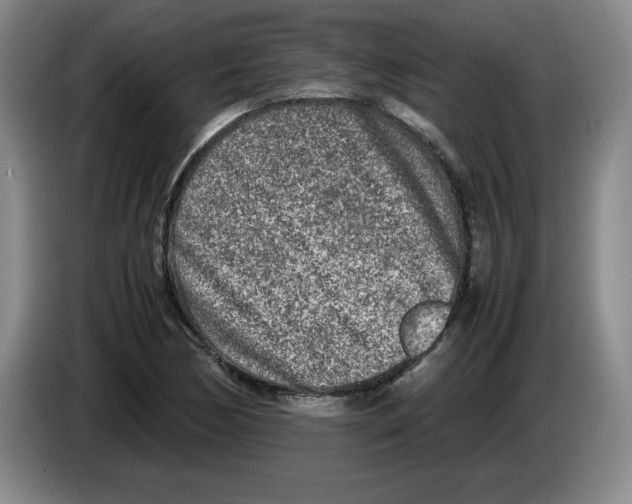 X0000083601170200703091735