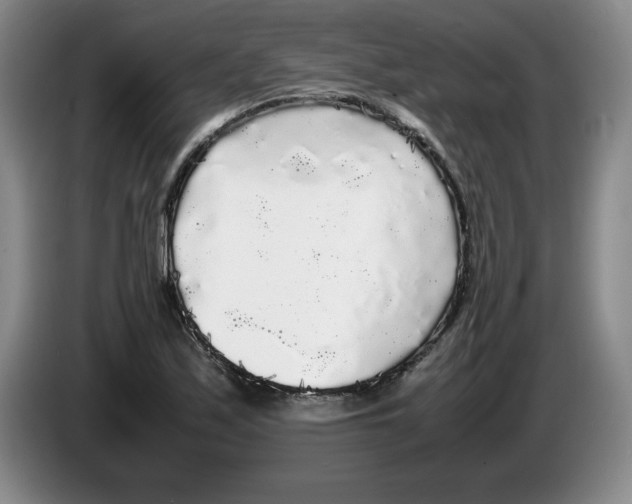 X0000083601171200703091735