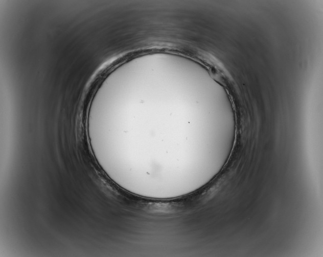 X0000083601172200703091735