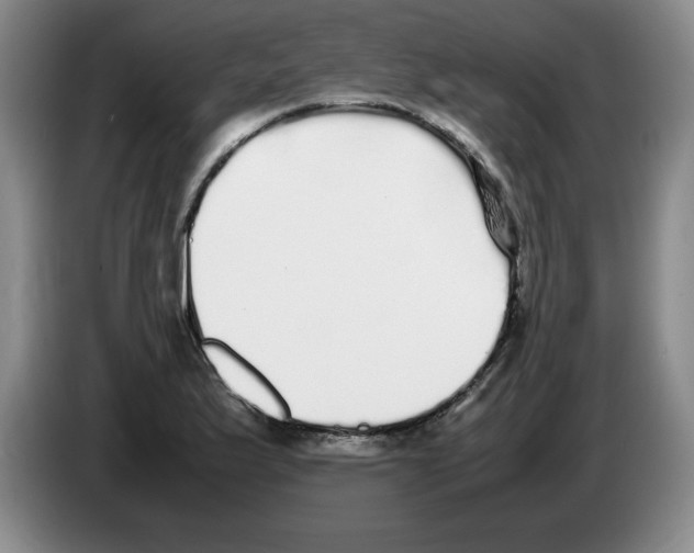 X0000083601175200703091735