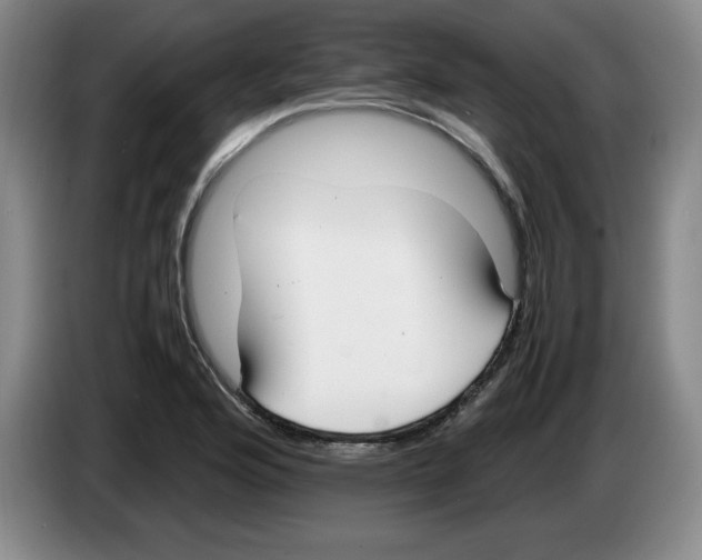 X0000083601176200703091735