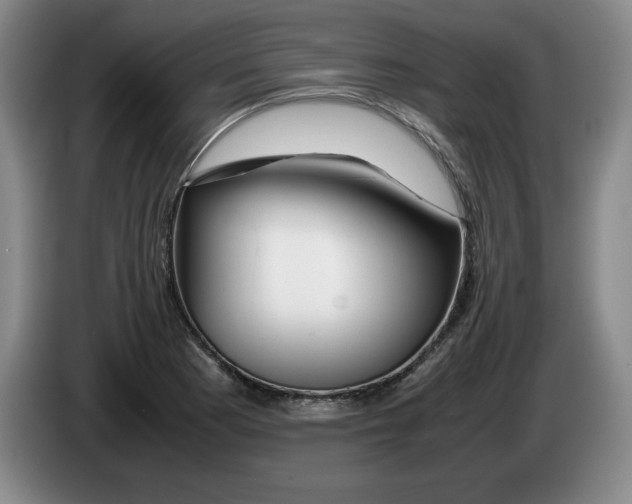 X0000083601177200703091735