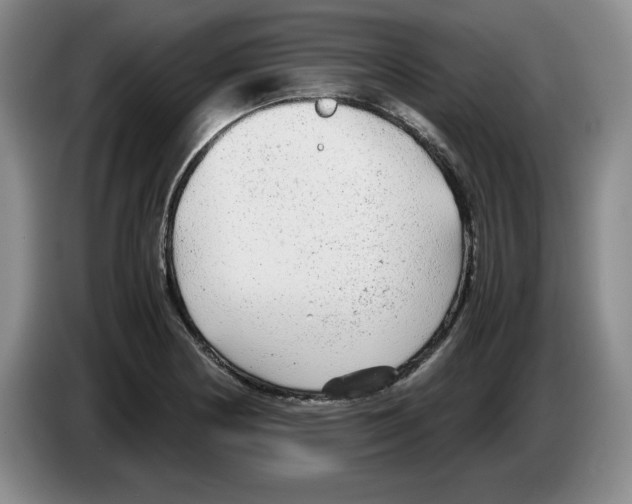 X0000083601178200703091735