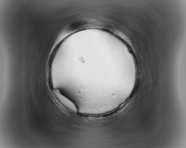 X0000083601179200703091735