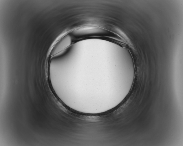 X0000083601180200703091735