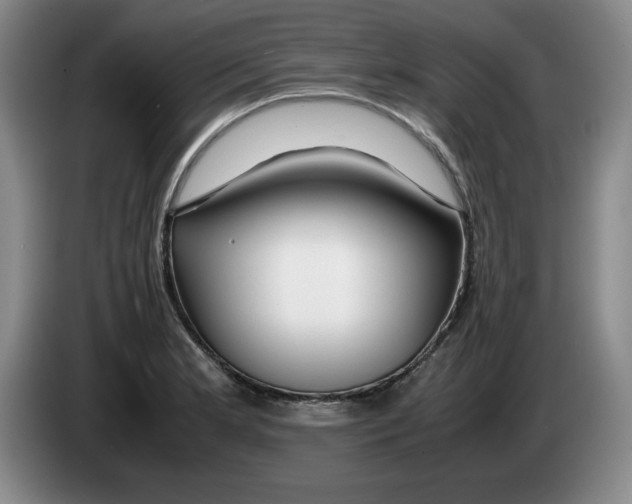 X0000083601181200703091735