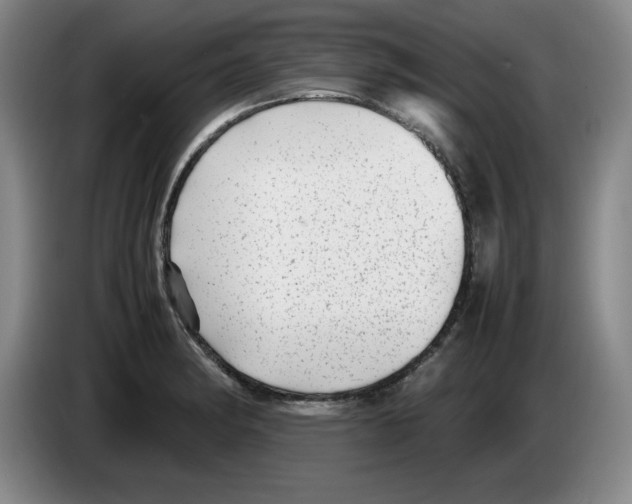 X0000083601182200703091735