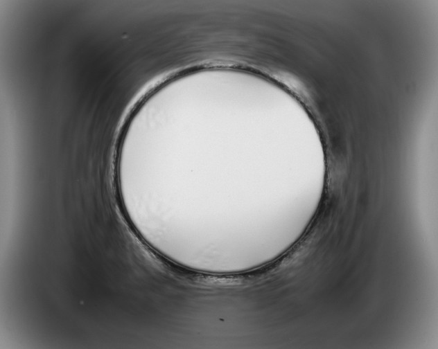 X0000083601183200703091735