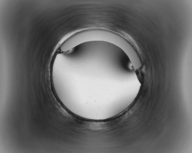 X0000083601184200703091735