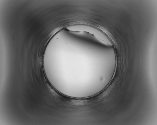 X0000083601185200703091735