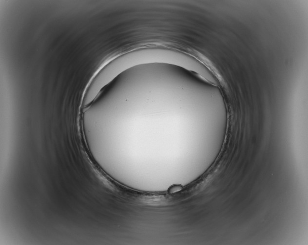 X0000083601186200703091735