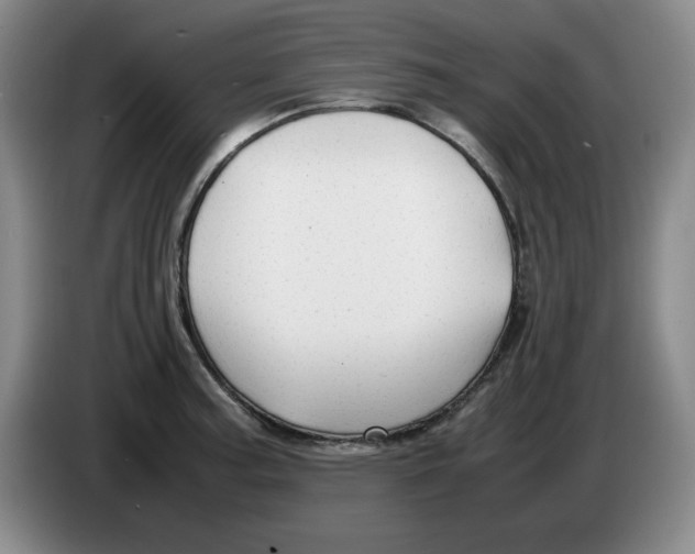 X0000083601187200703091735