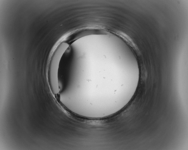 X0000083601188200703091735