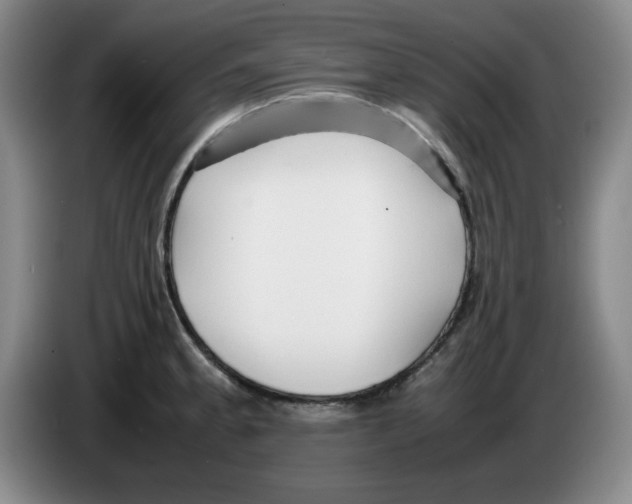 X0000083601189200703091735