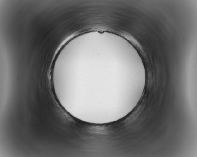 X0000083601190200703091735