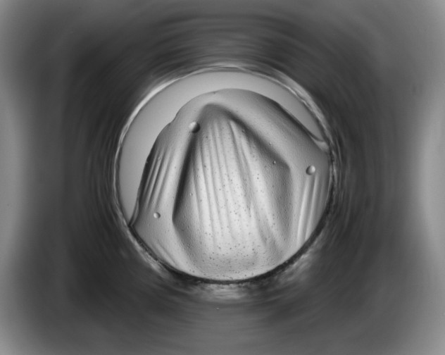 X0000083601194200703091735