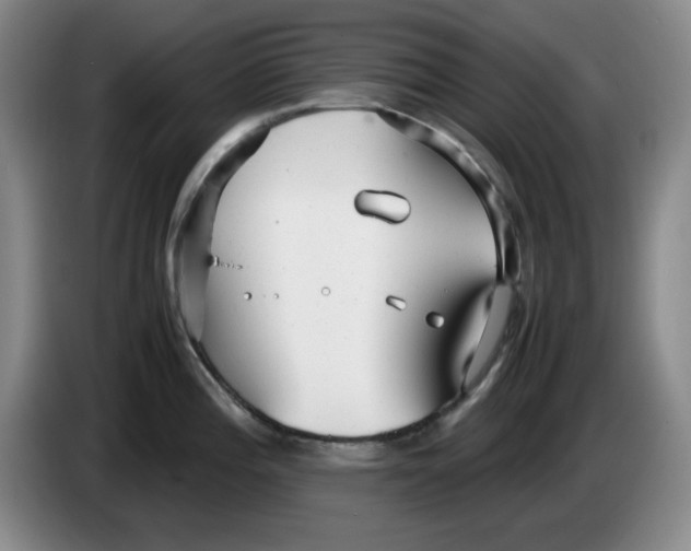 X0000083601196200703091735