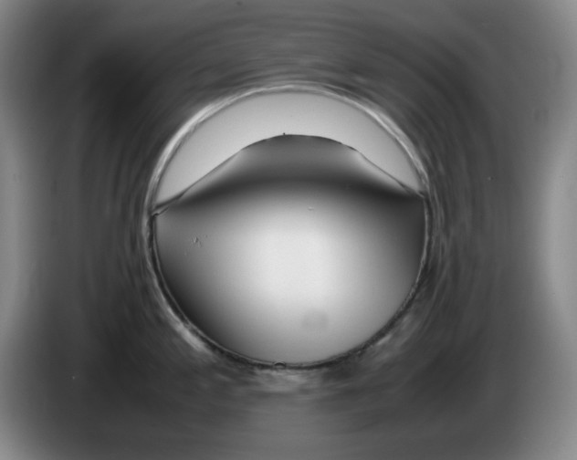 X0000083601197200703091734