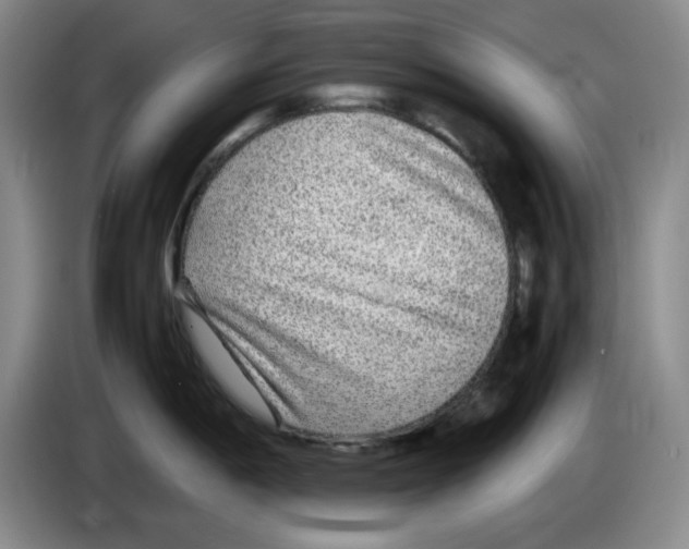 X0000083601198200703091734