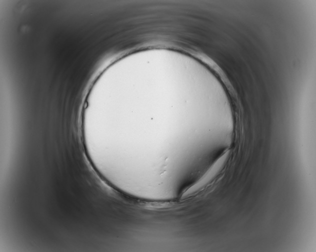 X0000083601199200703091734