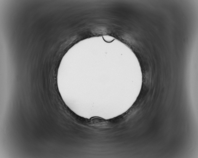 X0000083601201200703091734