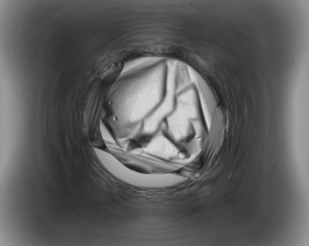 X0000083601202200703091734