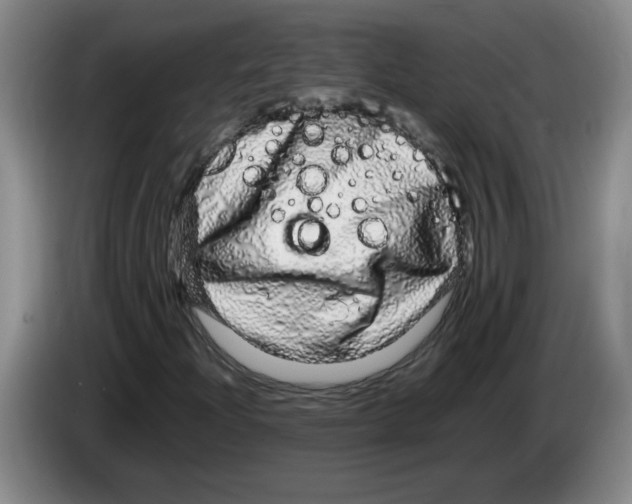 X0000083601204200703091734