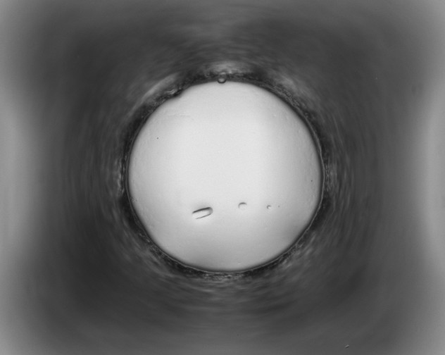 X0000083601205200703091734