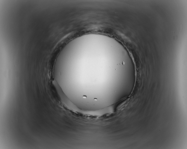 X0000083601206200703091734