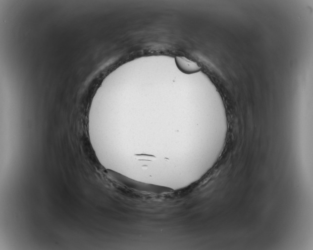 X0000083601207200703091734