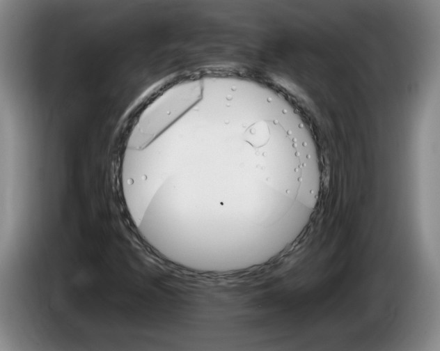 X0000083601208200703091734