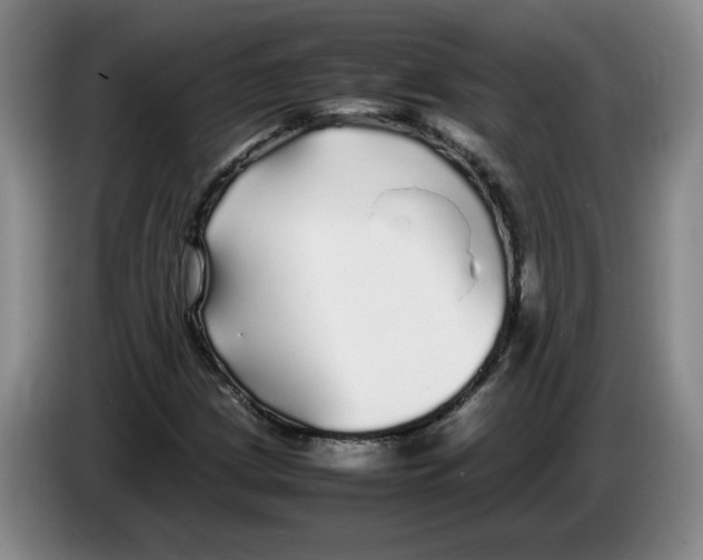 X0000083601209200703091734