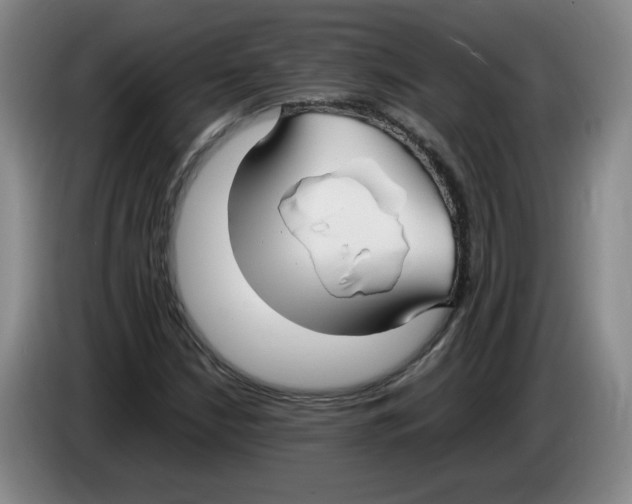 X0000083601210200703091734