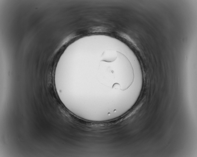 X0000083601211200703091734