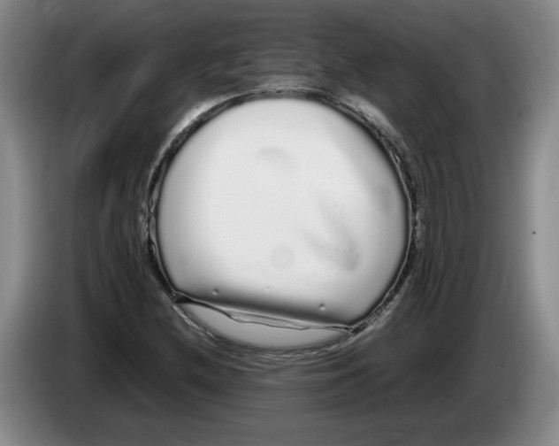 X0000083601212200703091734