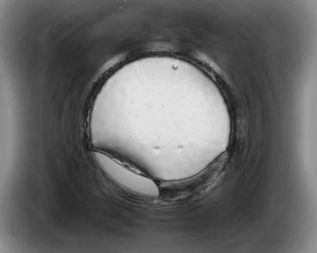 X0000083601213200703091734